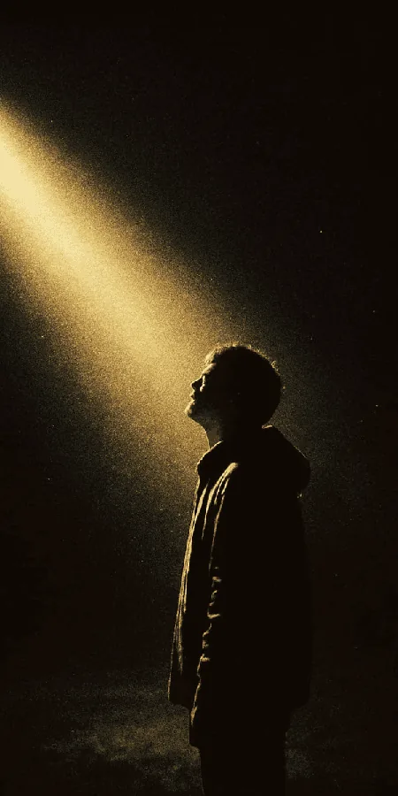 Cinematography